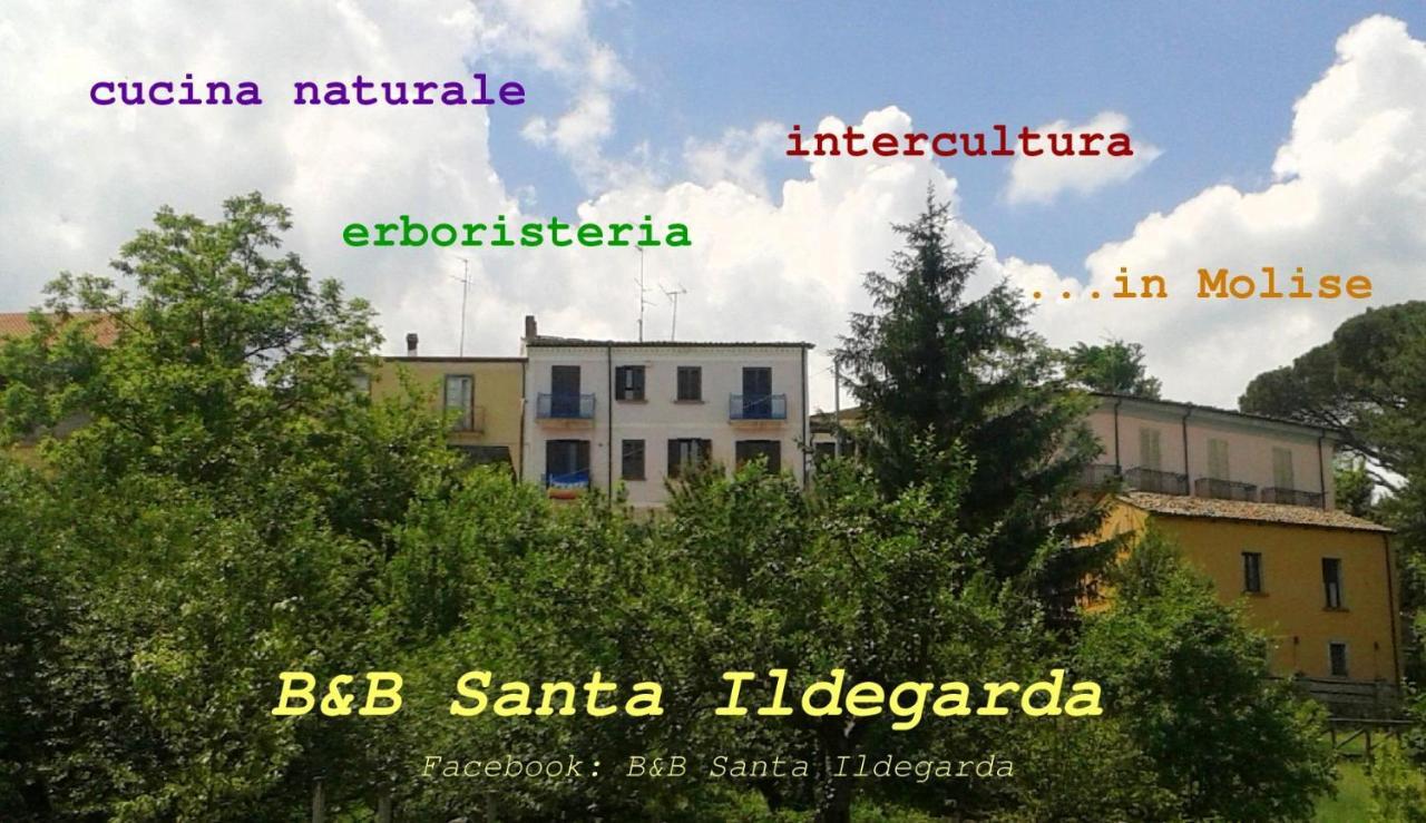 B&B Santa Ildegarda Cantalupo nel Sannio Номер фото